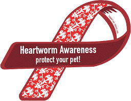 heartworm awareness